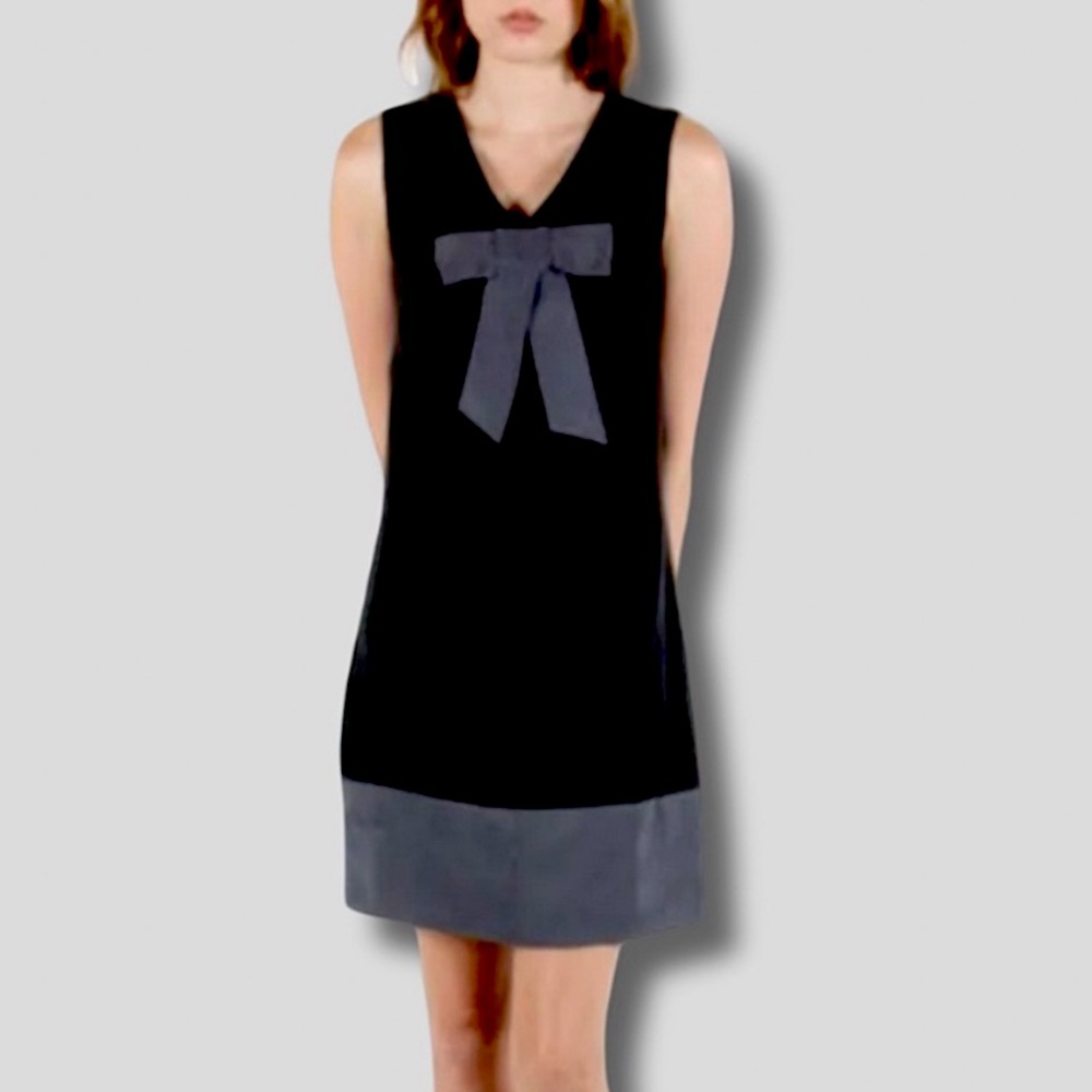 Birds of North America Mini Dress